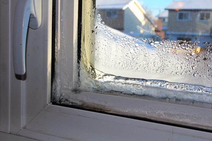 How to decorate frozen window boxes